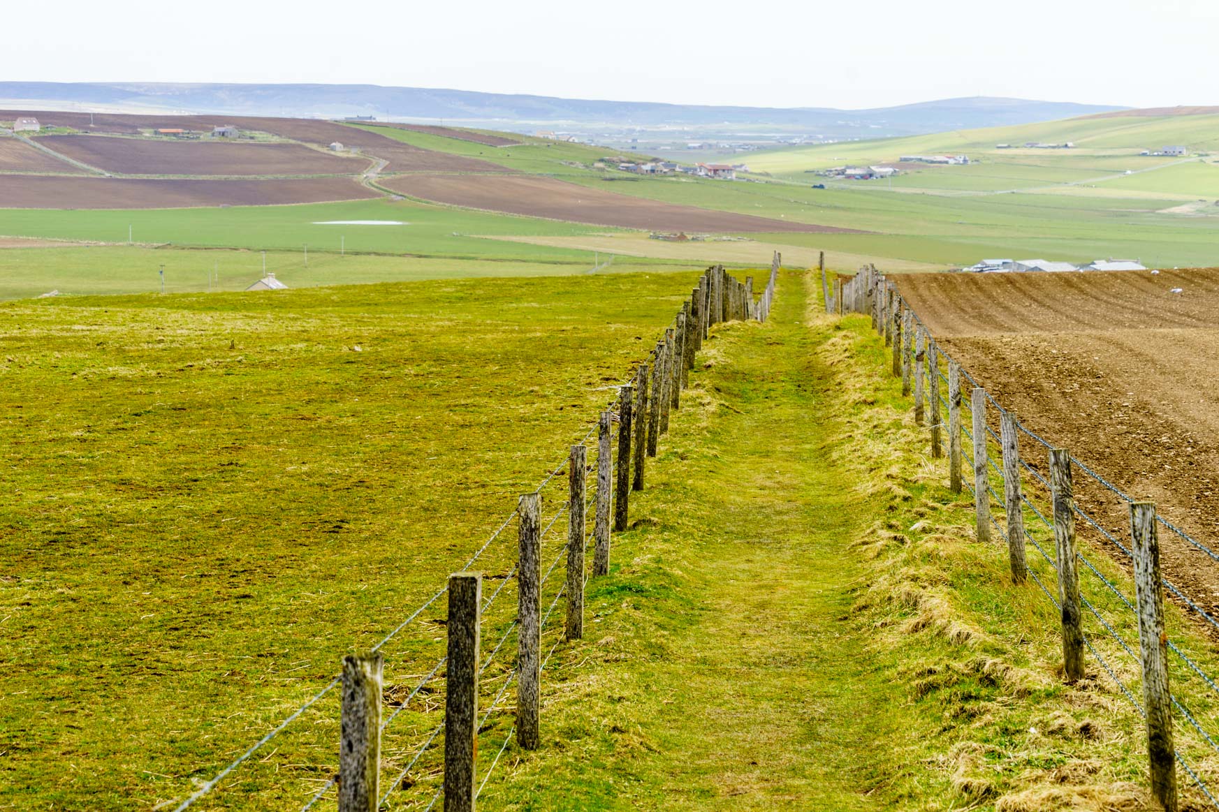 Rückweg durch die Felder