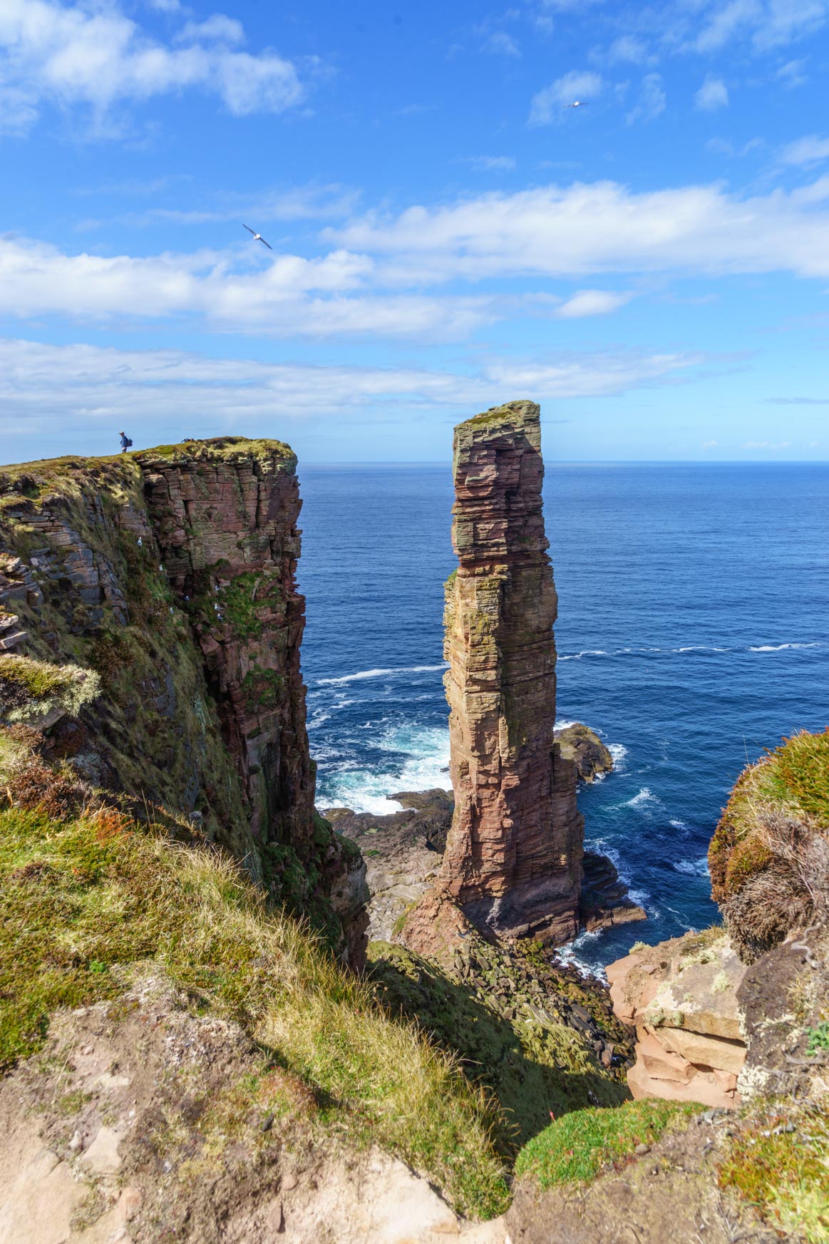Old Man of Hoy