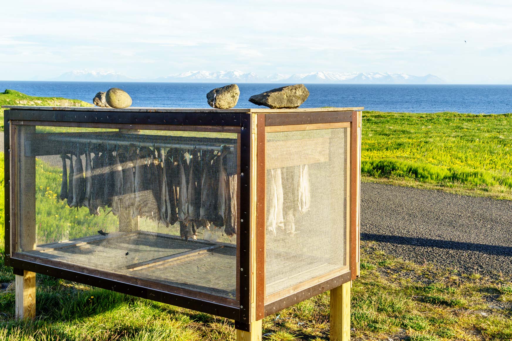 Grímsey