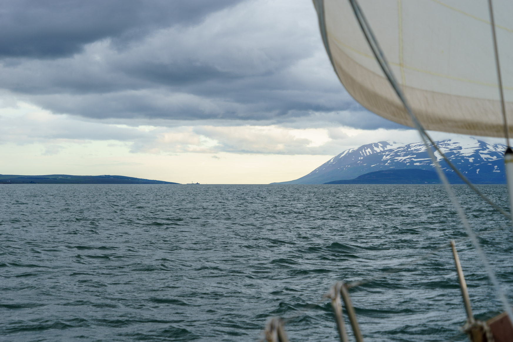 ... und Blick voraus zum Fjordausgang