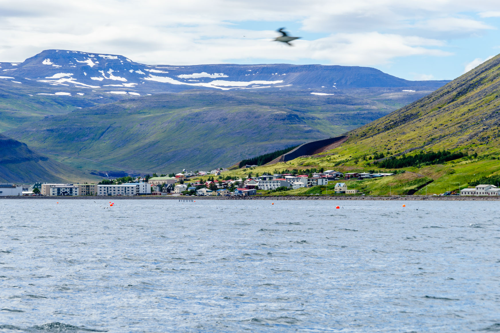 Isafjörður