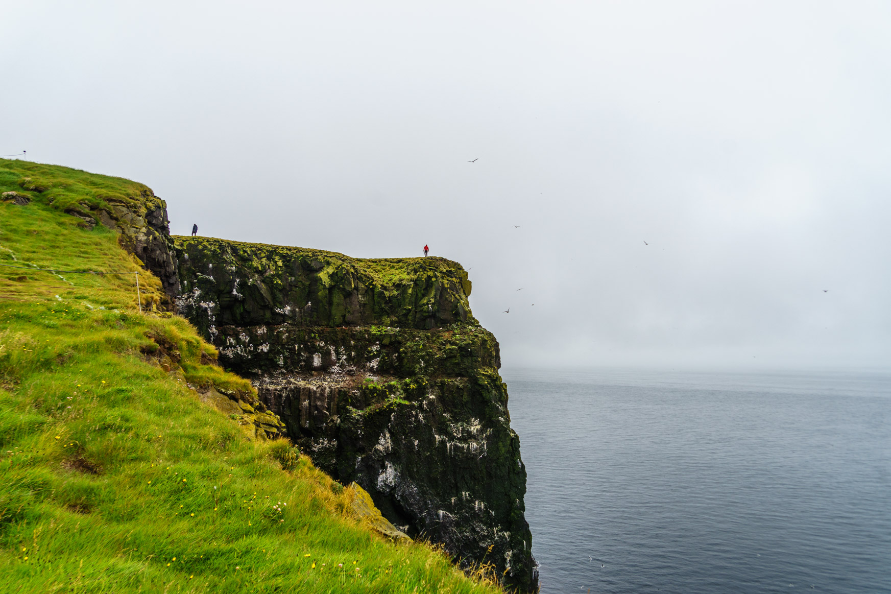 Látrabjarg