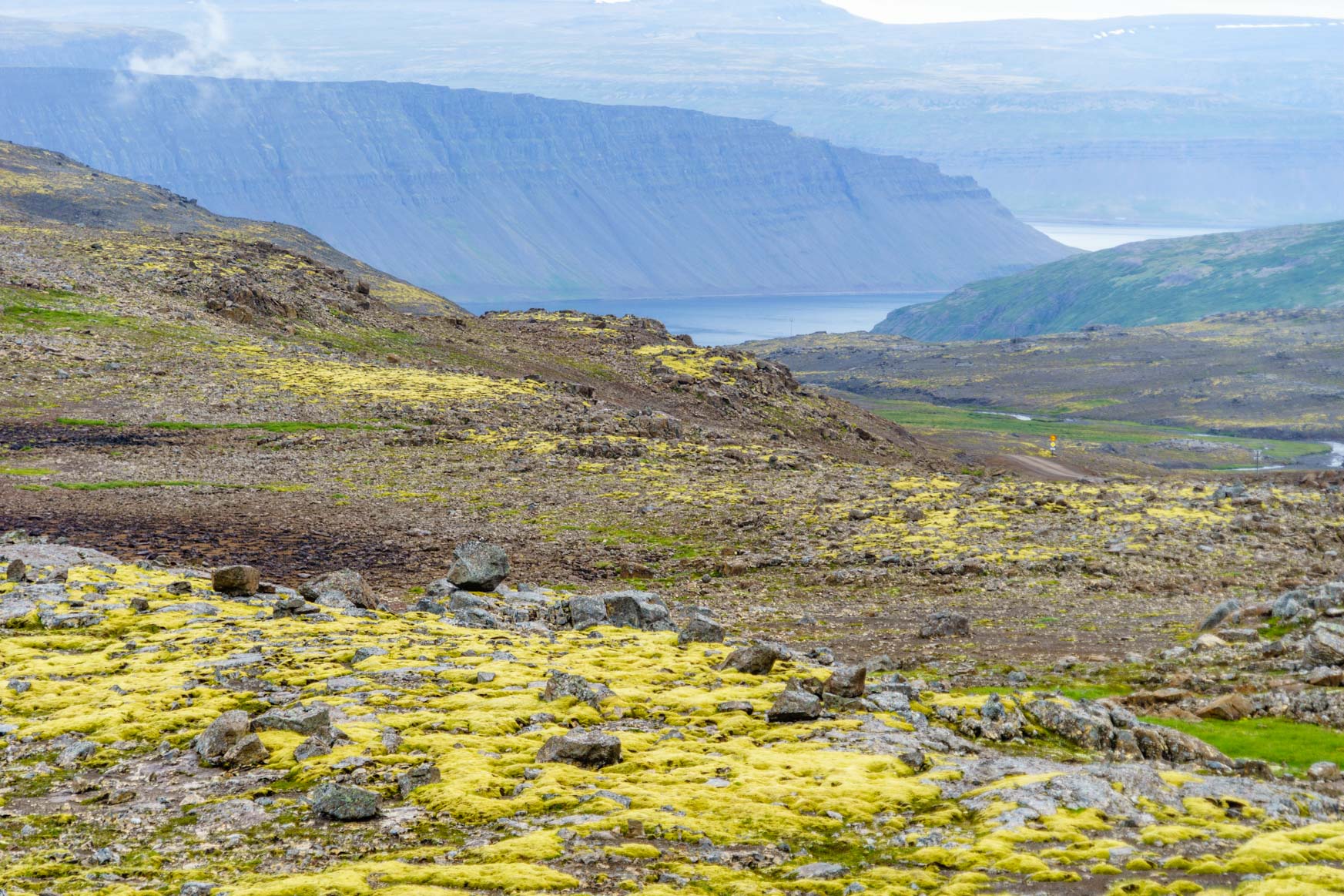 Arnafjörður