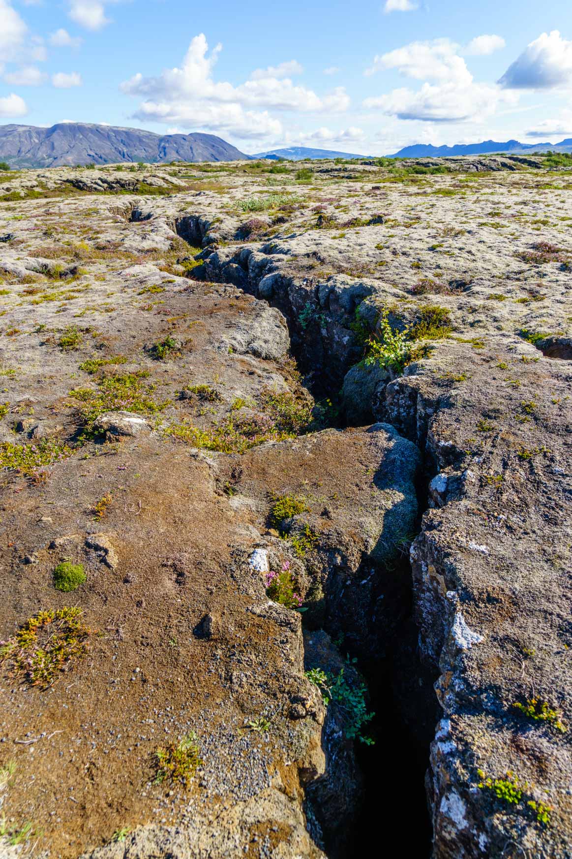 Schlucht in Þingvellir
