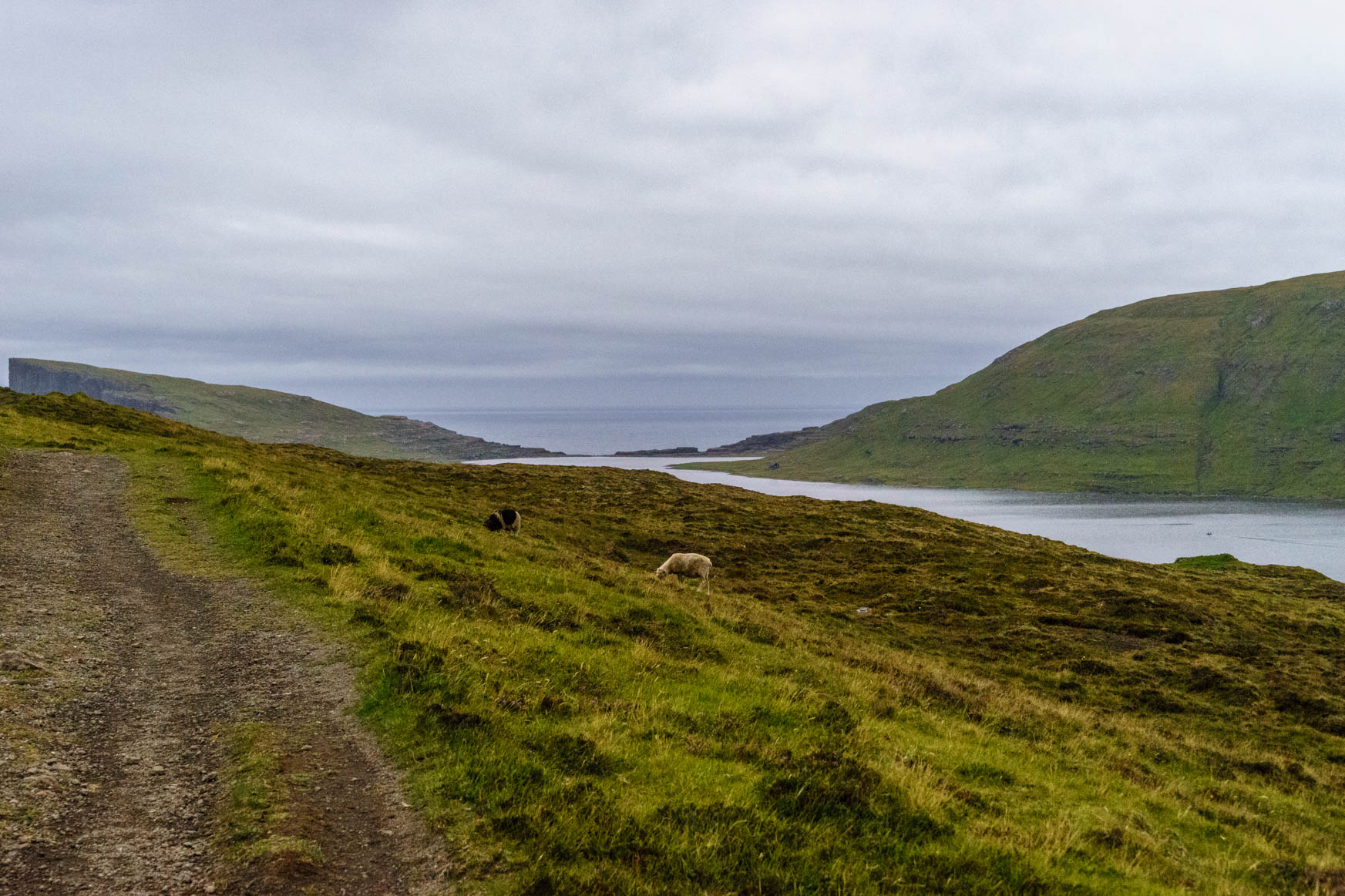 Leitisvatn und Atlantik